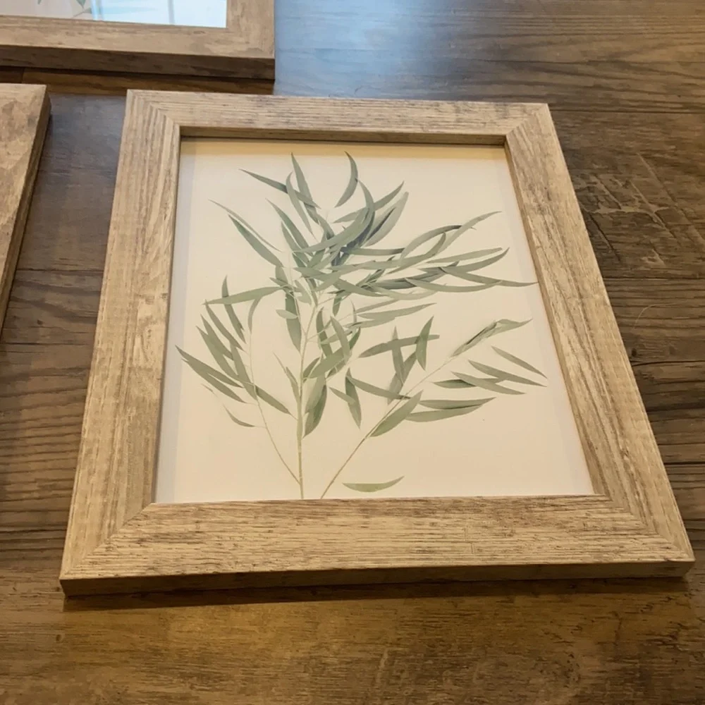 Leaf pictures in frames bundle - Picture 6 of 7